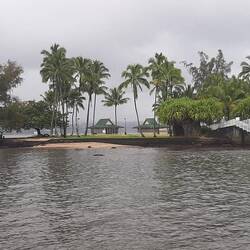 Dans le parc à Hilo coconut island