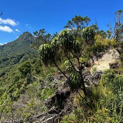 ...da oben wäre das Ziel