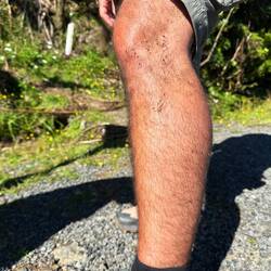 Die Fauna hinterliess klebende Sporen...