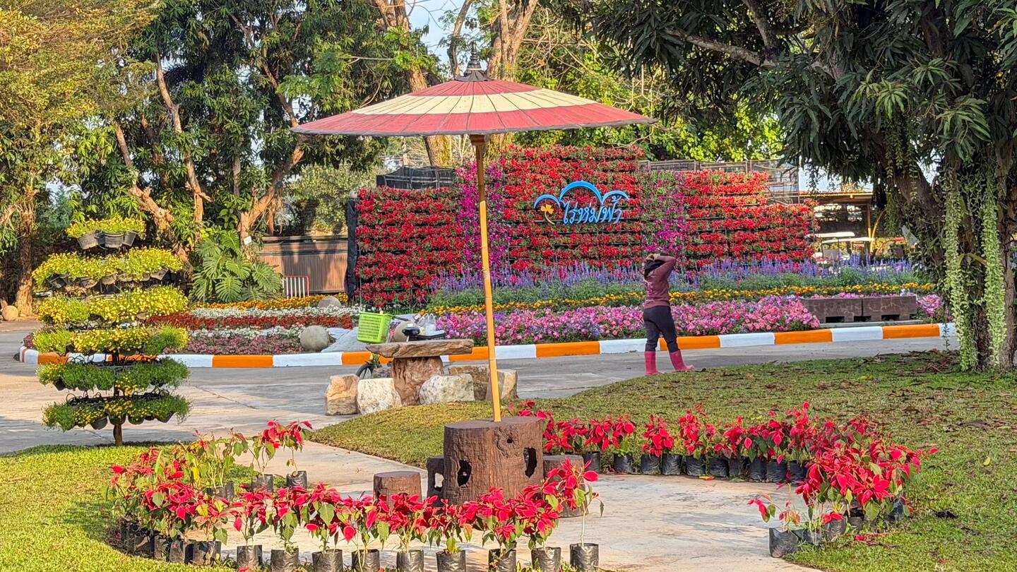 Der Eingang der Breakfast-Farm - wow, was erwartet uns denn hier?