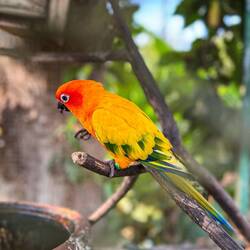 Ein paar Tiere gabs auch 🙃