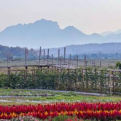 ... mit Tal- und Weitblick 😍