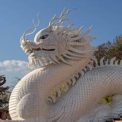 Ist dieser aus dem weissen Tempel entkommen?