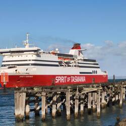 die aktuelle Spirit of Tasmania
