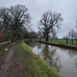 Making the most of a dry spell by combining the cruise with the dog walk