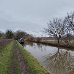 Moored at the wholesale nursery on the edge of Rode Heath.