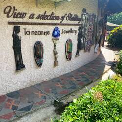 Die Jane Goodall Foundation