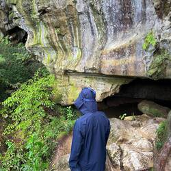 Eingang zur Waipuhöhle
