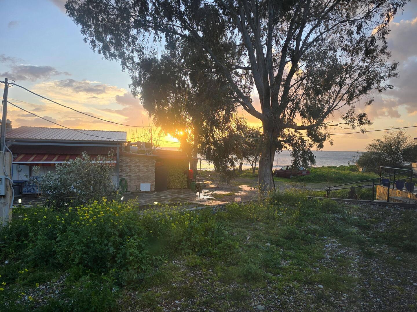 Eine kleine Entschädigung heute morgen für die stürmische Nacht ☺️