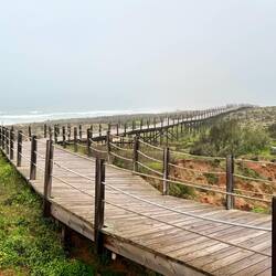 Boardwalk geht auch im Nebel