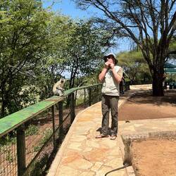 Das äffchen wollte dass Stefan seinen Muffin teilt - ist aber zu Recht streng verboten