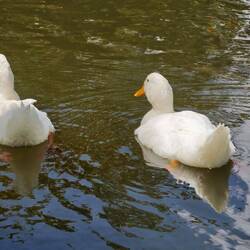 Wer das wohl noch sein könnte 😜