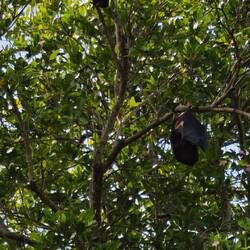 Da hängen welche ab!