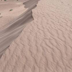 Einfach schön im Wüstensand zu laufen.