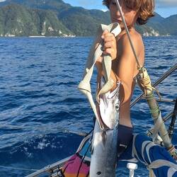 Thazard... miam-miam