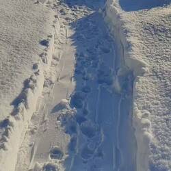 Der weite Weg zum Auto...