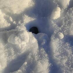 Hier verschwindet sie dann in den Tiefen