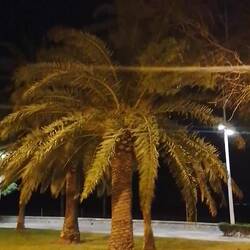 Gestern Abend(Ton)