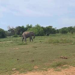 Das war mal ein Strahl