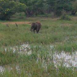 Ich hätte den Kleinen stundenlang zuschauen können.