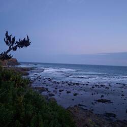 Vellicht entdecket jo dir e pinguin