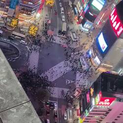 Shibuya Crossing, die verkehrsreichste Kreuzung der Welt