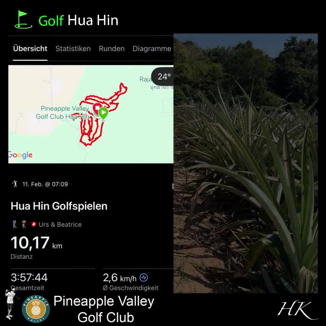 🏌️‍♂️⛳️ Pineapple Valley