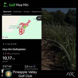 🏌️‍♂️⛳️ Pineapple Valley
