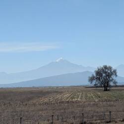 Biggest volcano of north America, which we saw from the bus and had to be added