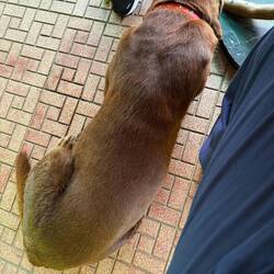 Our lunch companion for a 2nd day in a row.