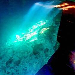 Cenote Xux Ha