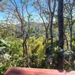 ... mit schönem Blick ins Grüne.