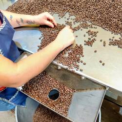 ... Bohne für Bohne