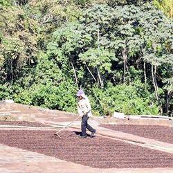 ... mit täglicher Wendung ...