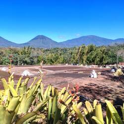 Dann geht's zur Trocknung ...