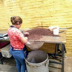 Manuelle Qualitätskontrolle ...