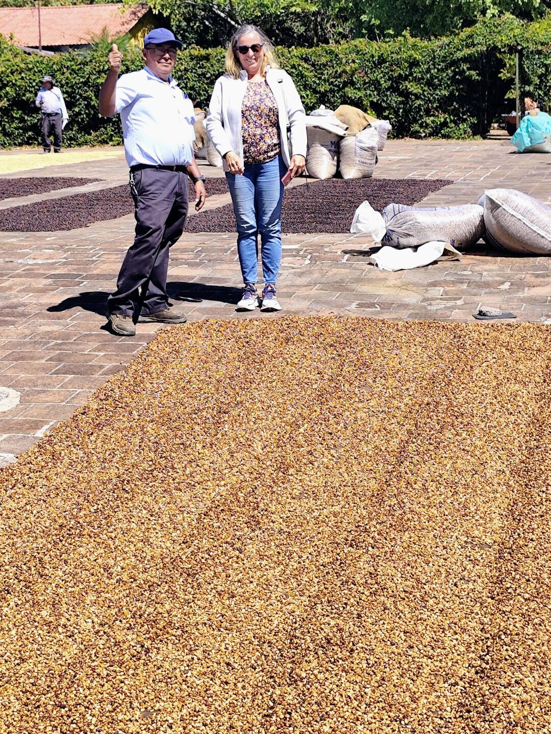 Auf Terrassen werden die gewaschenen Bohnen getrocknet, jedes Feld hat seine Spezifikation.