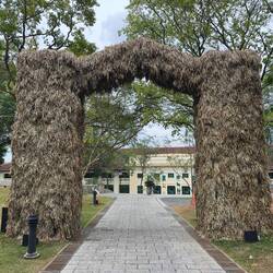 Flowers For Africa: Rwanda by Kapwani Kiwanga.