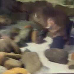 The Platypus seemed to be hopped up on caffeine