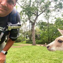 Schnappschuss,... wann ist man schon mal so nah an einem Känguru