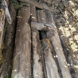 Inside the "toilet" 😱