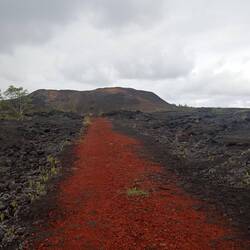 Semblant de chemin pour accéder au cratère c'était le route avant