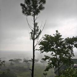 View from hotel in rain storm