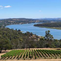 Tamar River