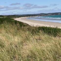 Narawntapu-Nationalpark: Bakers Beach