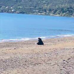 ..noch sehen wir den Felsen aus der Ferne,aber heute werden wir in die Altstadt rüber Fahren..