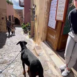 ..die kleine hat von weitem schon Hund (Skyros🇬🇷)gerufen 😉