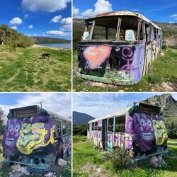 ..was man beim Spaziergang alles findet 😊