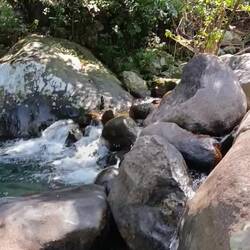 ..... DAS 🥰🥰🥰