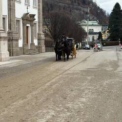 Zu Fuß oder mit der Zahnradbahn?